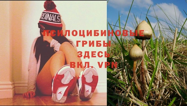 соль курить ск Армянск