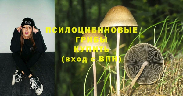 jwh Аркадак