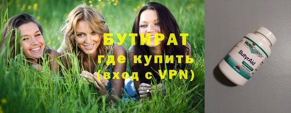 прущие грибы Новозыбков