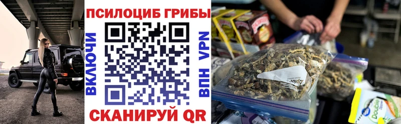 Псилоцибиновые грибы мицелий  Светлоград 